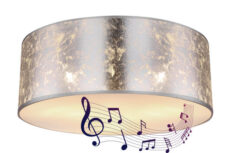 STROPNA SVJETILJKA - AMY1